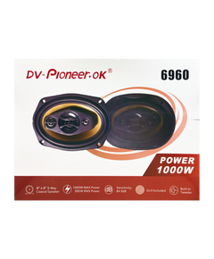 Блины Dv-pioneer 6960 (6х9)