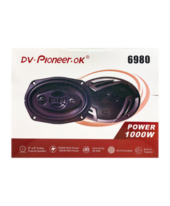 Блины Dv-pioneer 6980 (6х9)