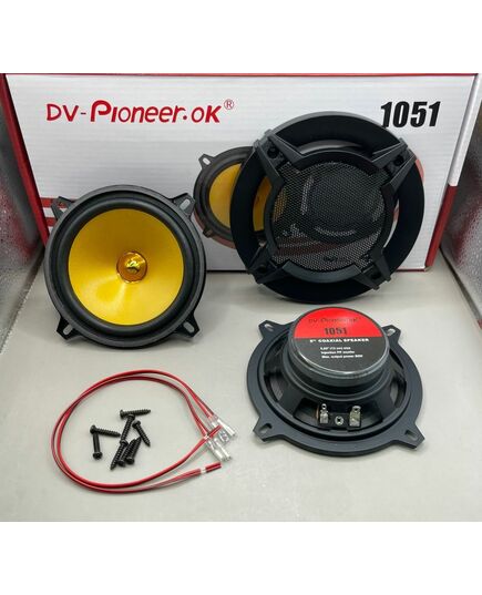 Динамики (16см) DV-Pioneer.ok 1651, изображение 2