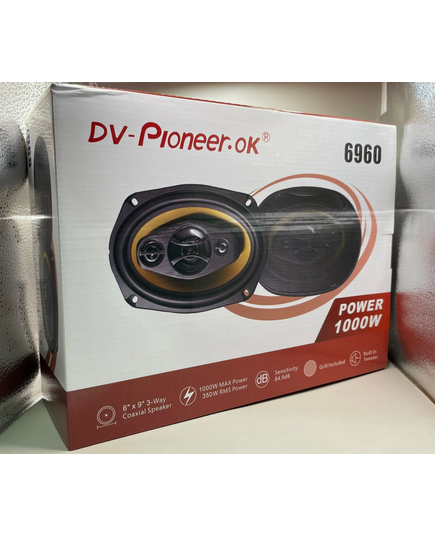 Блины Dv-pioneer 6960 (6х9), изображение 2