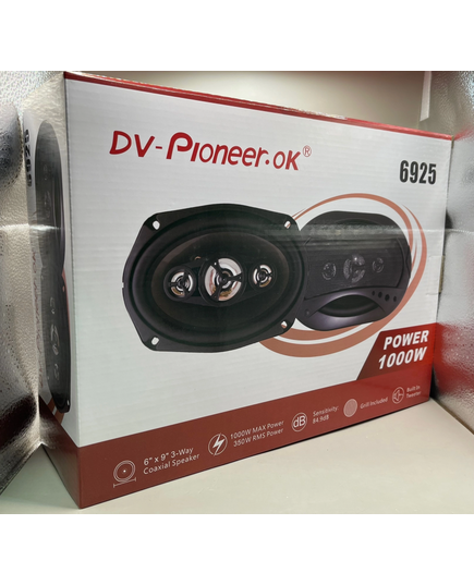 Блины Dv-pioneer 6925 (6х9), изображение 2