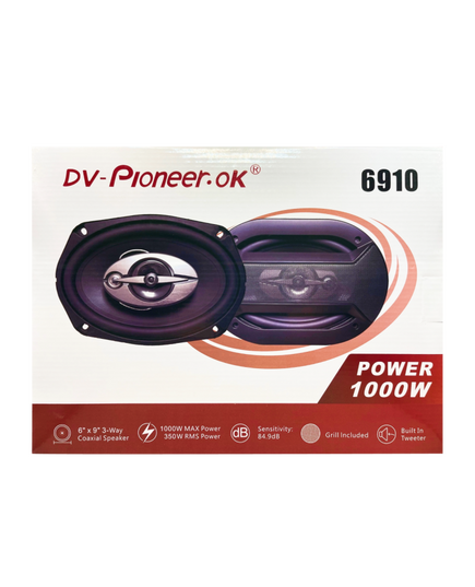 Блины Dv-pioneer 6910 (6х9)