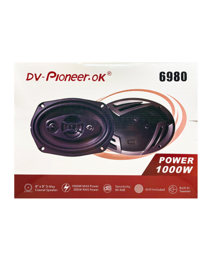 Блины Dv-pioneer 6980 (6х9)