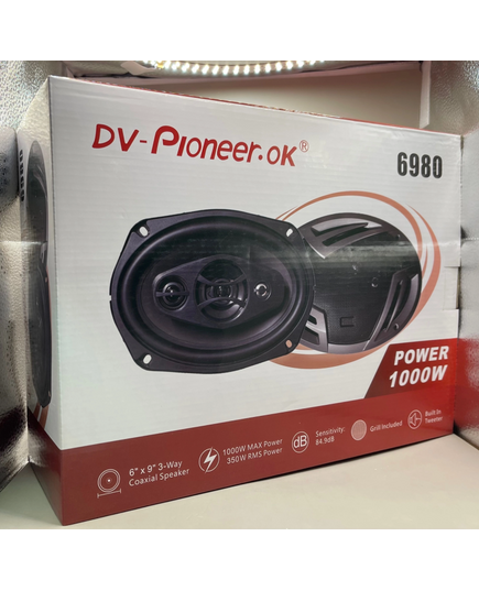 Блины Dv-pioneer 6980 (6х9), изображение 2