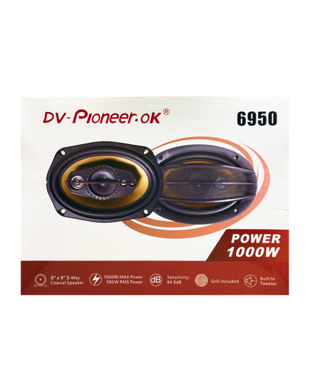 Блины Dv-pioneer 6950 (6х9)