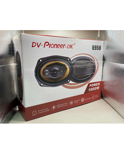 Блины Dv-pioneer 6950 (6х9), изображение 2